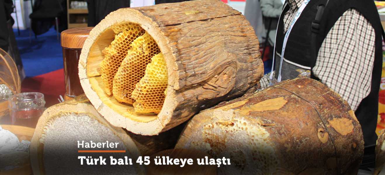 Türk balı 45 ülkeye ulaştı