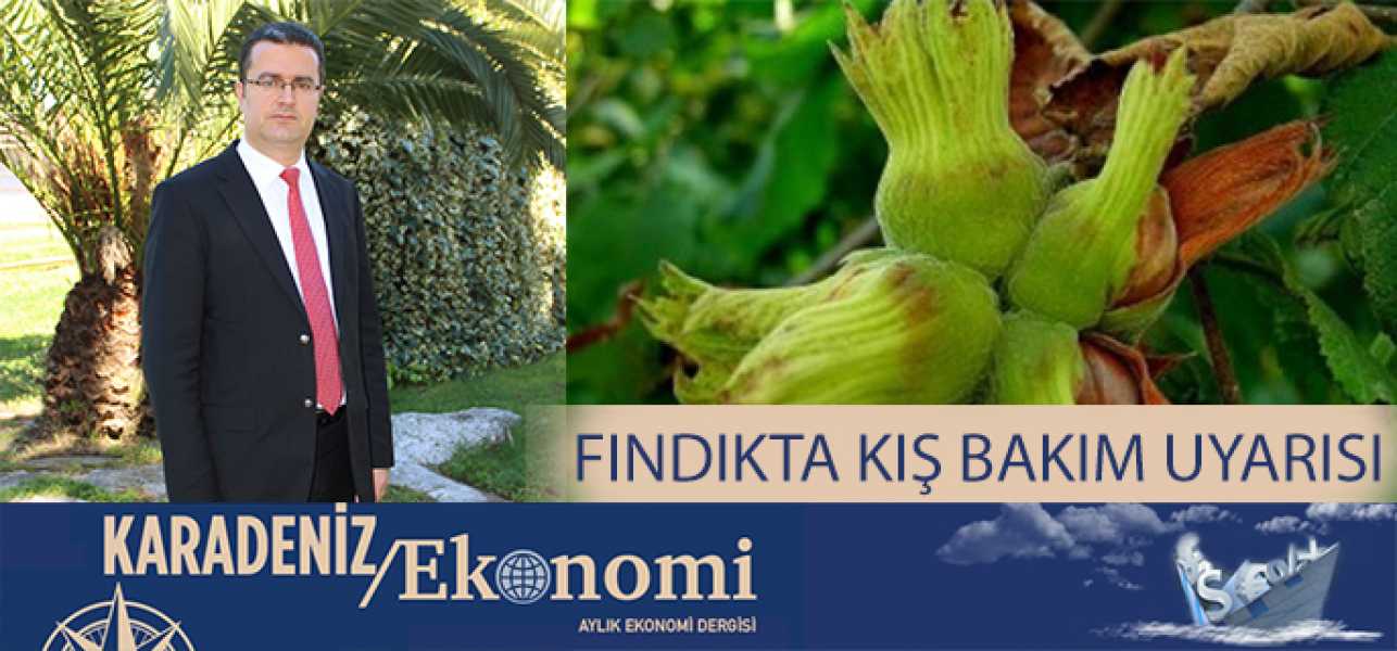 FINDIKTA 