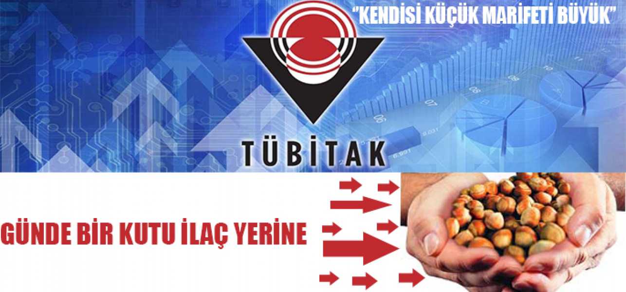  Günde Bir Kutu İlaç Yerine Bir Avuç Fındık