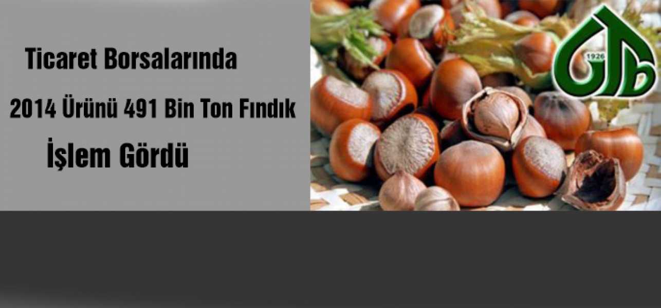 Ticaret borsalarında 2014 ürünü 491 bin ton fındık işlem gördü