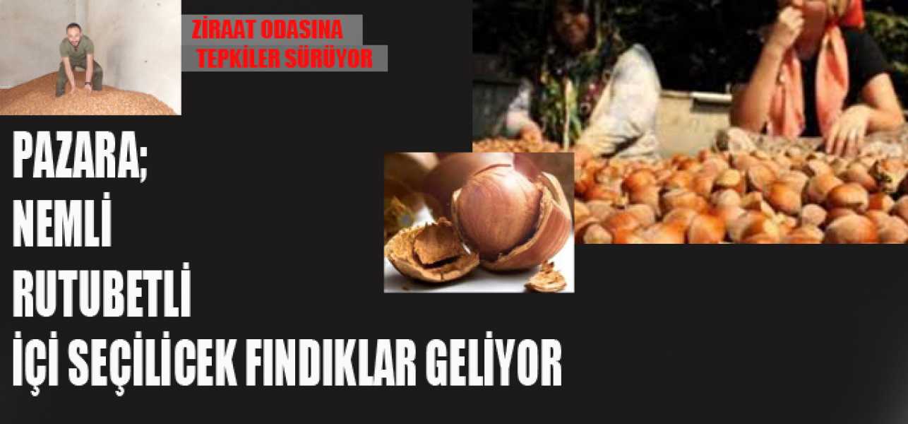 Piyasaya Nemli ,Rutubetli,İçi Seçilecek Fındıklar Geliyor