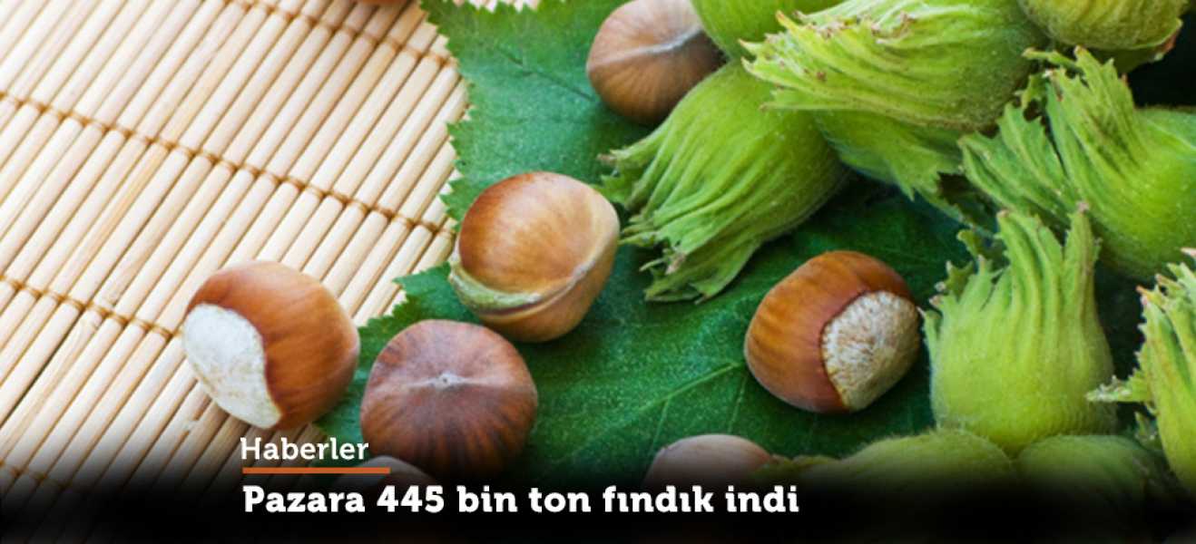 Pazara 445 bin ton fındık indi