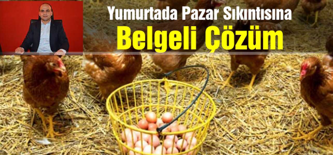 Yumurtada Pazar Sıkıntısına Belgeli Çözüm