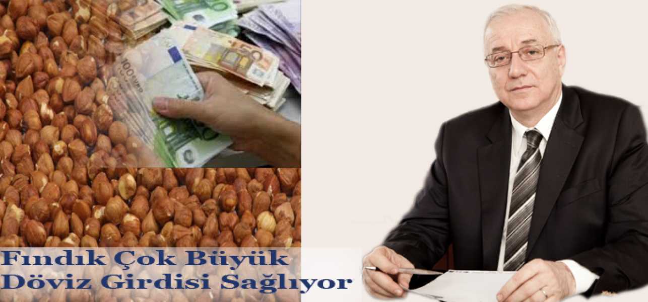 Fındık Çok Büyük Döviz Girdisi Sağlıyor