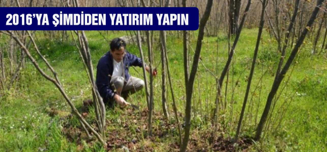 YILMAZDAN HASAT SONRASI BAKIM UYARISI