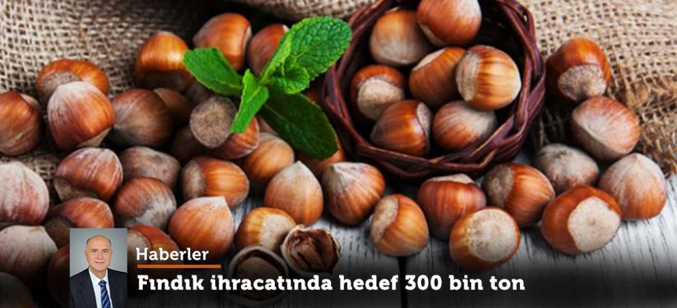 Fındık ihracatında yeni hedef 300 bin ton