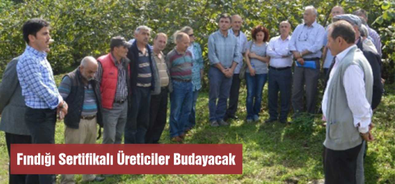 Fındığı Sertifikalı Üreticiler Budayacak