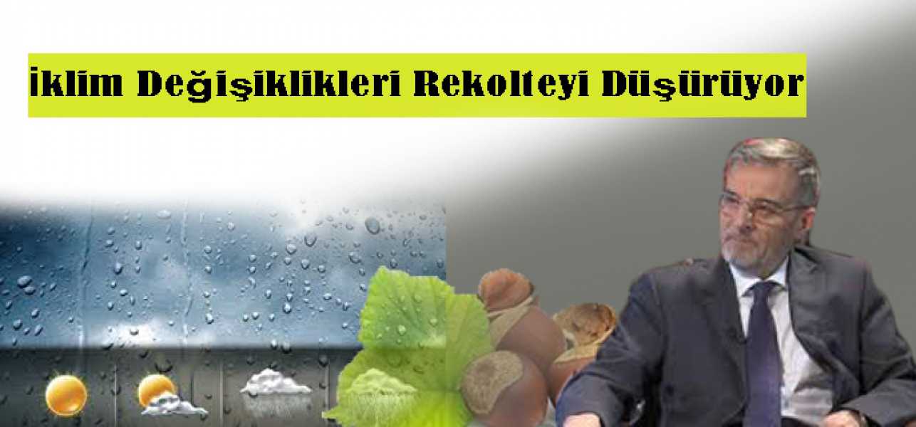 İklim Değişiklikleri Rekolteyi Düşürüyor