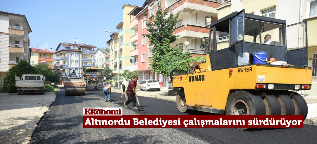 Altınordu Belediyesi asfalt çalışmalarını sürdürüyor