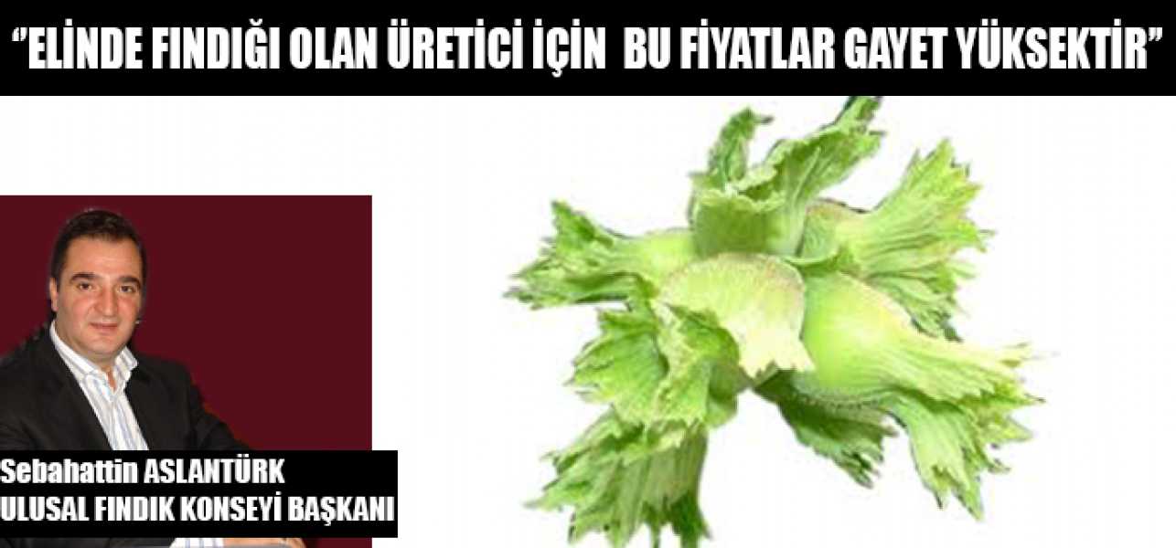 Elinde Fındığı Olan Üretici İçin Bu Fiyatlar Gayet Yüksektir