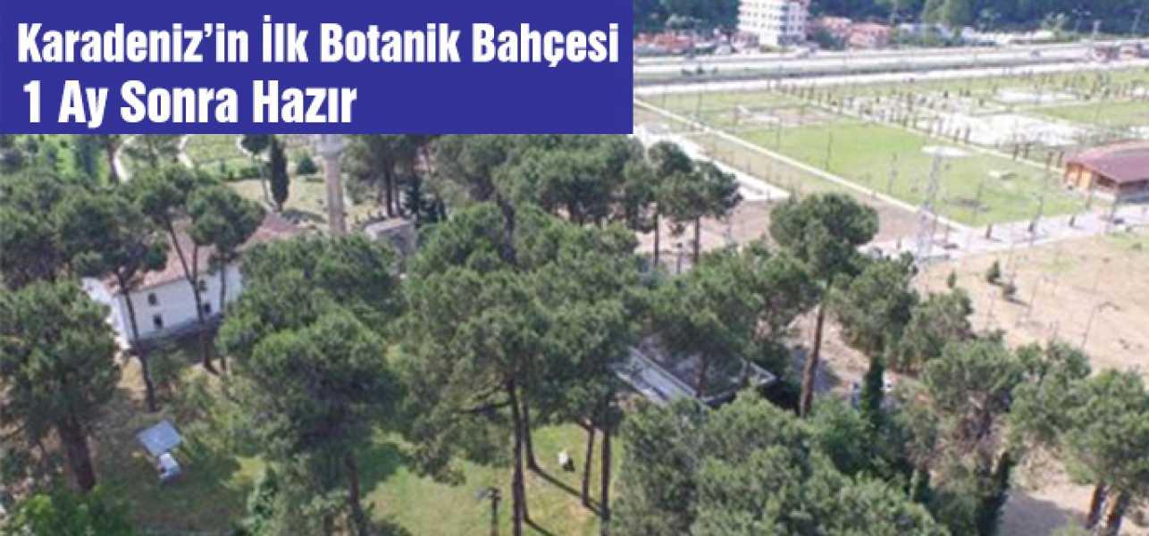 Karadeniz'in İlk Botanik Bahçesi 1 Ay Sonra Açılıyor