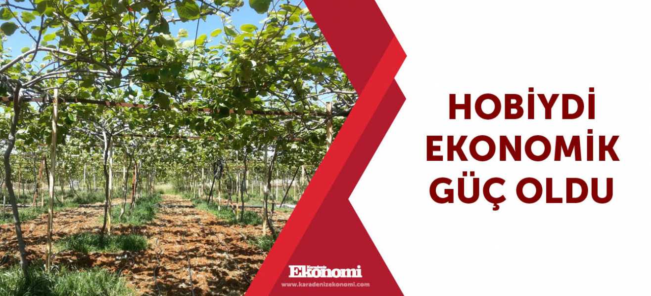 ​Hobiydi ekonomik güç oldu