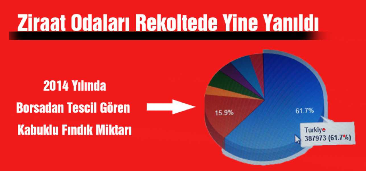 Ziraat Odaları 2014 Fındık Rekoltesin'de Yine Yanıldı