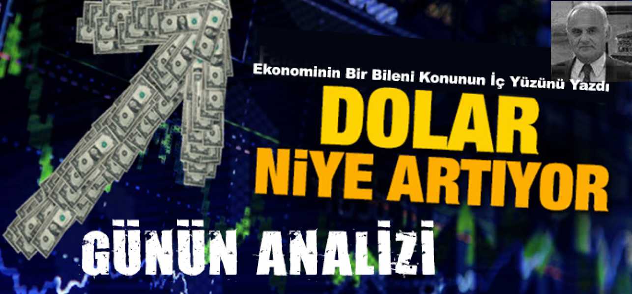 DOLAR NEDEN ARTIYOR