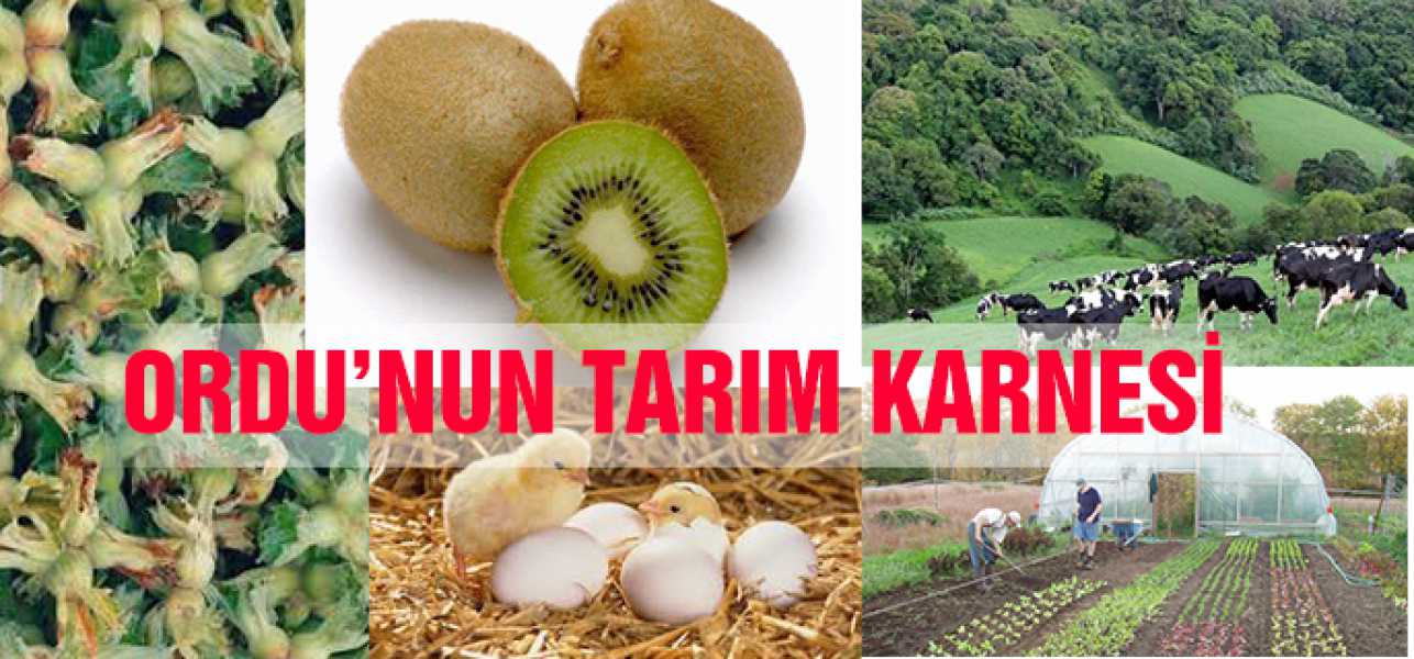 Ordu  Tarım'da  çağ Atladı