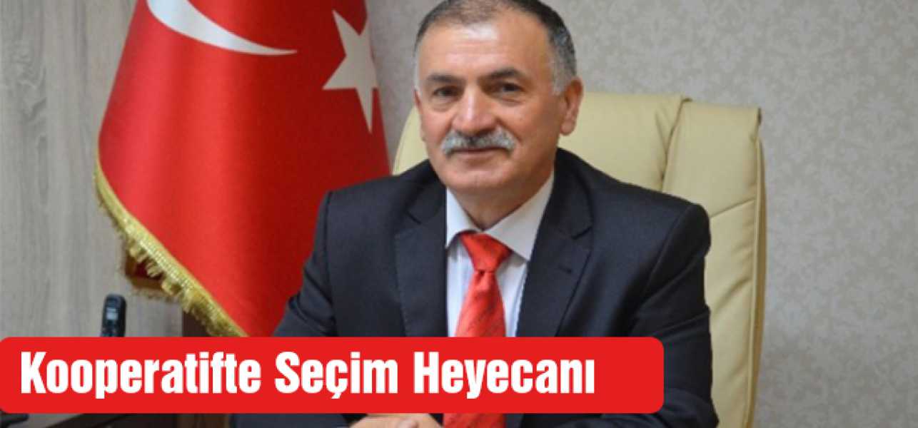 Kooperatifte Seçim Heyecanı