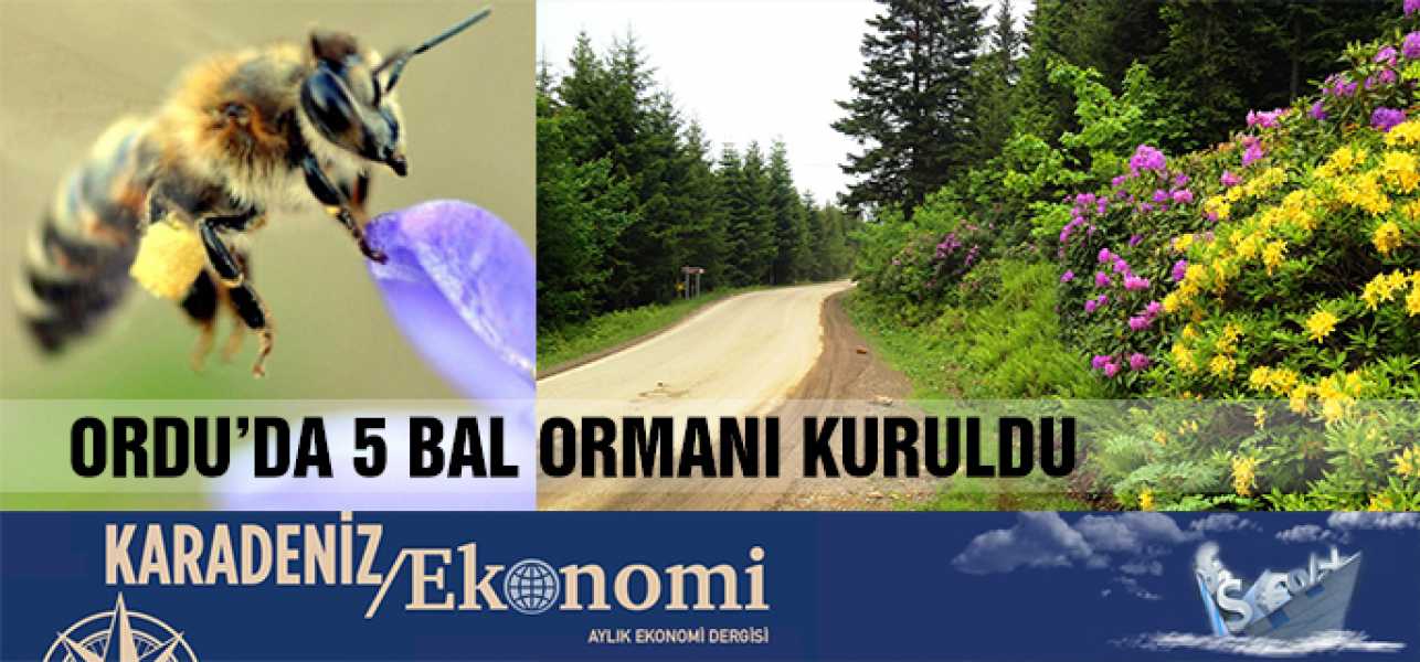 ORDUDA 5 BAL ORMANI KURULDU