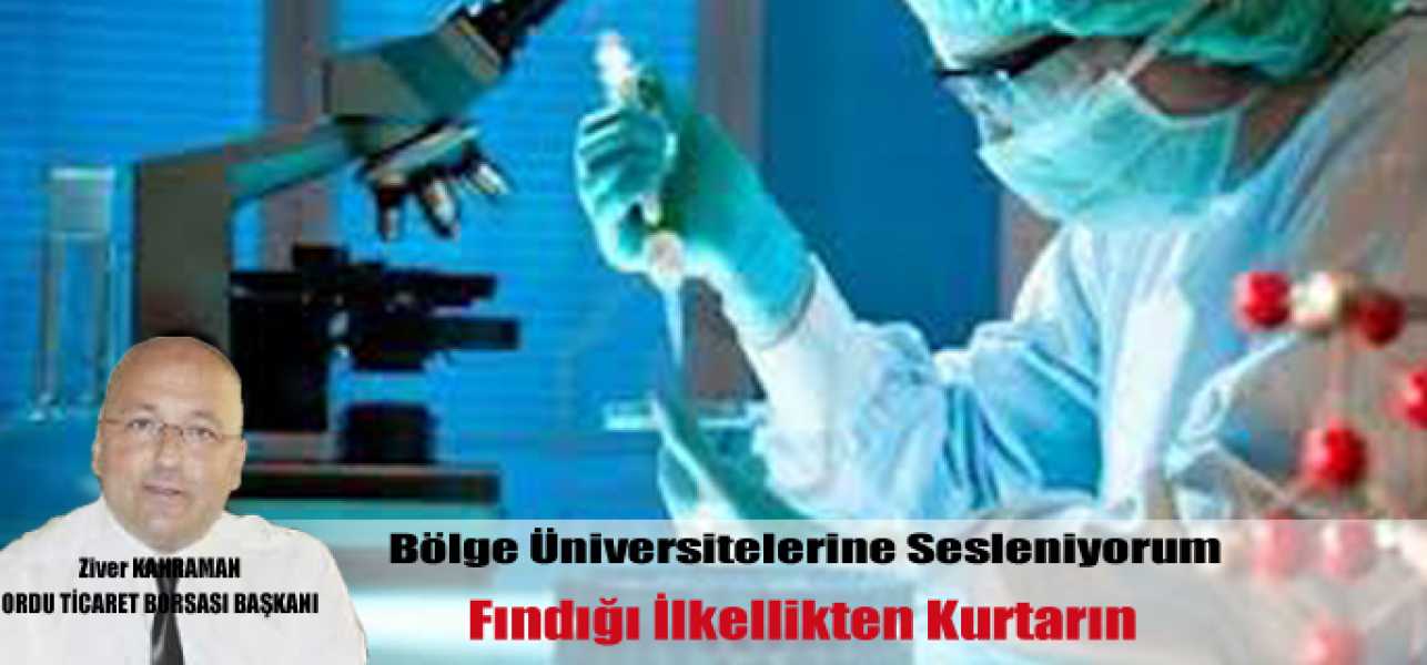 Tüm Üniversitelere Sesleniyorum Fındığı İlkellikten Kurtarın