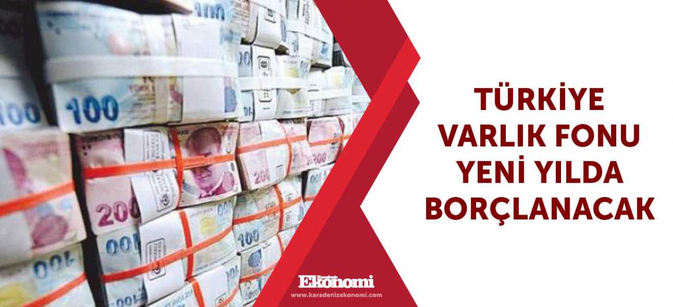 Türkiye Varlık Fonu yeni yılda borçlanacak