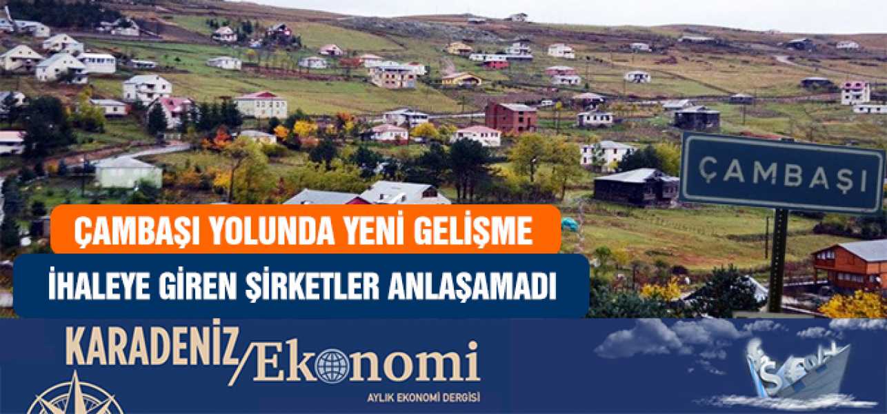 Çambaşı Yolunda Yeni Gelişme;İHALEYE GİREN ŞİRKETLER ANLAŞAMADI