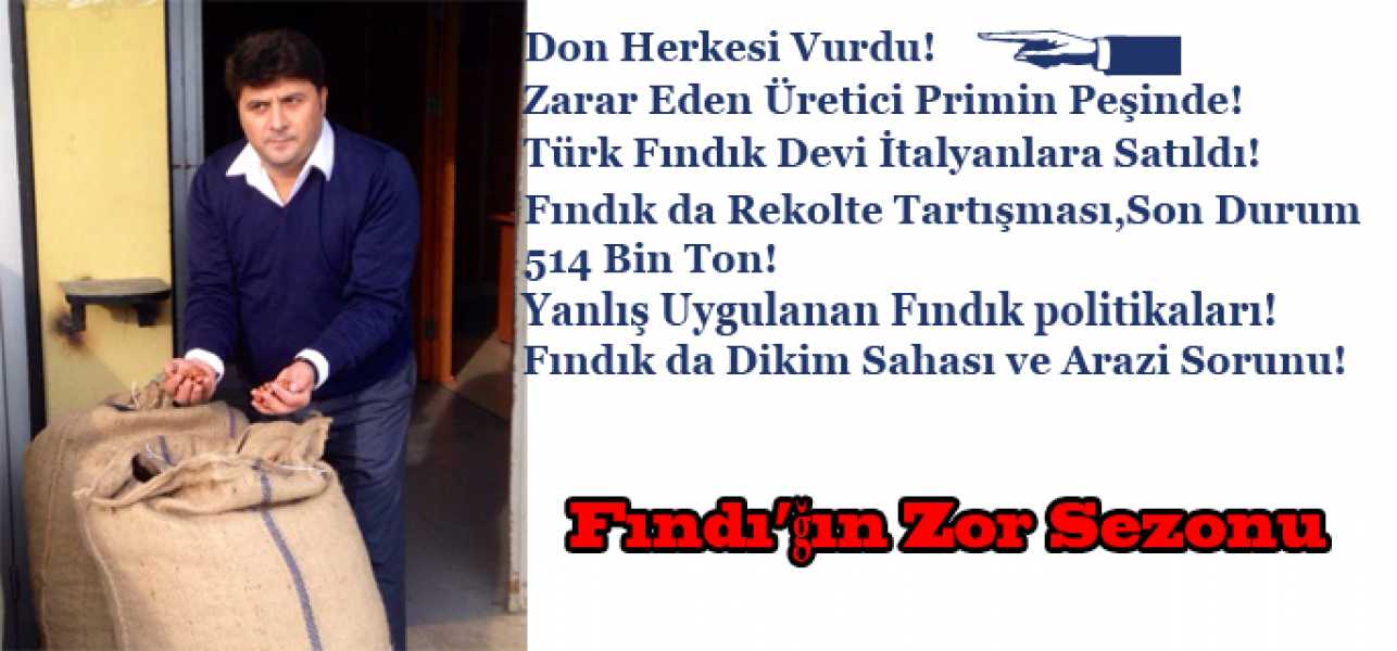 Fındı'ğın Zor Sezonu